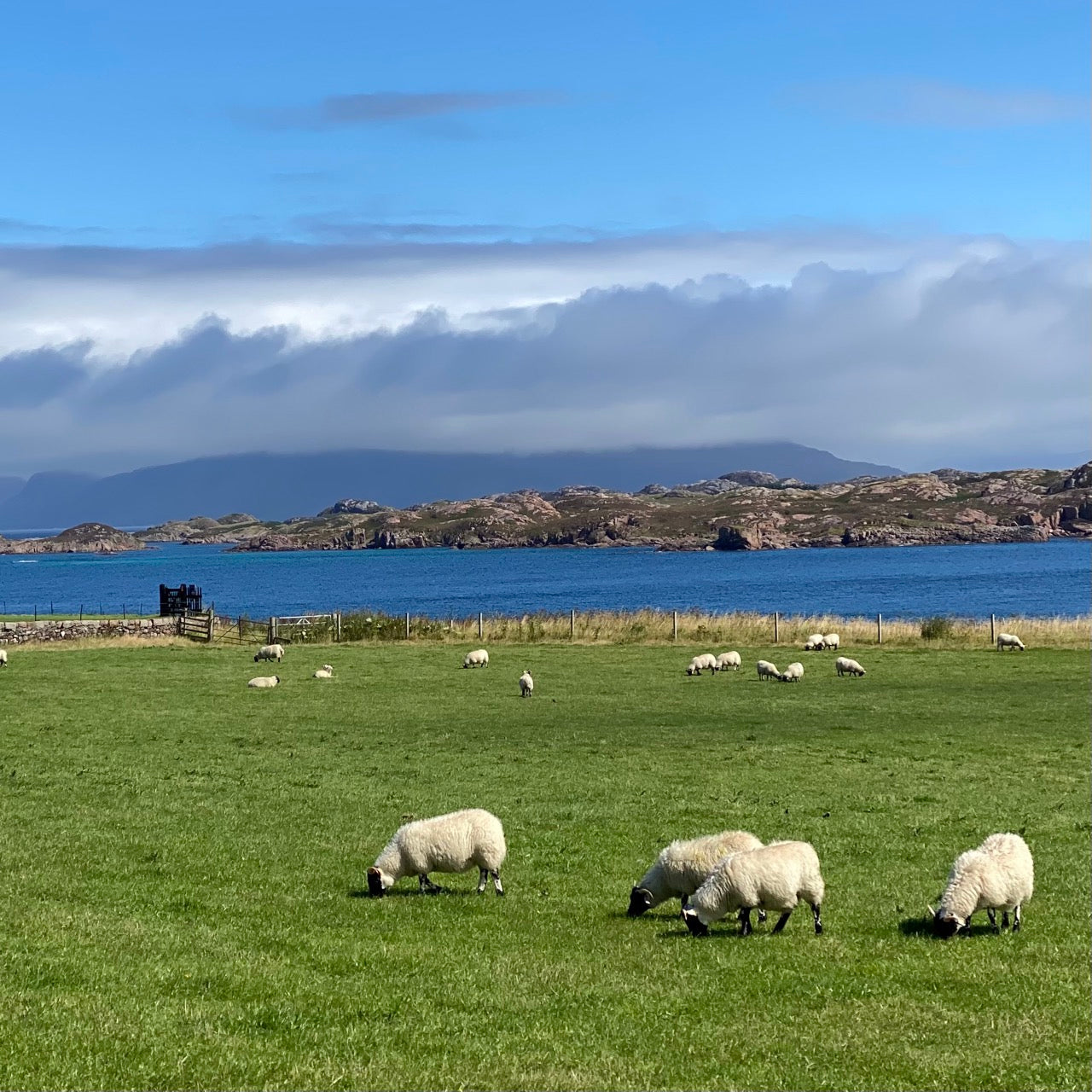 Isle of Iona · Stitch Marker